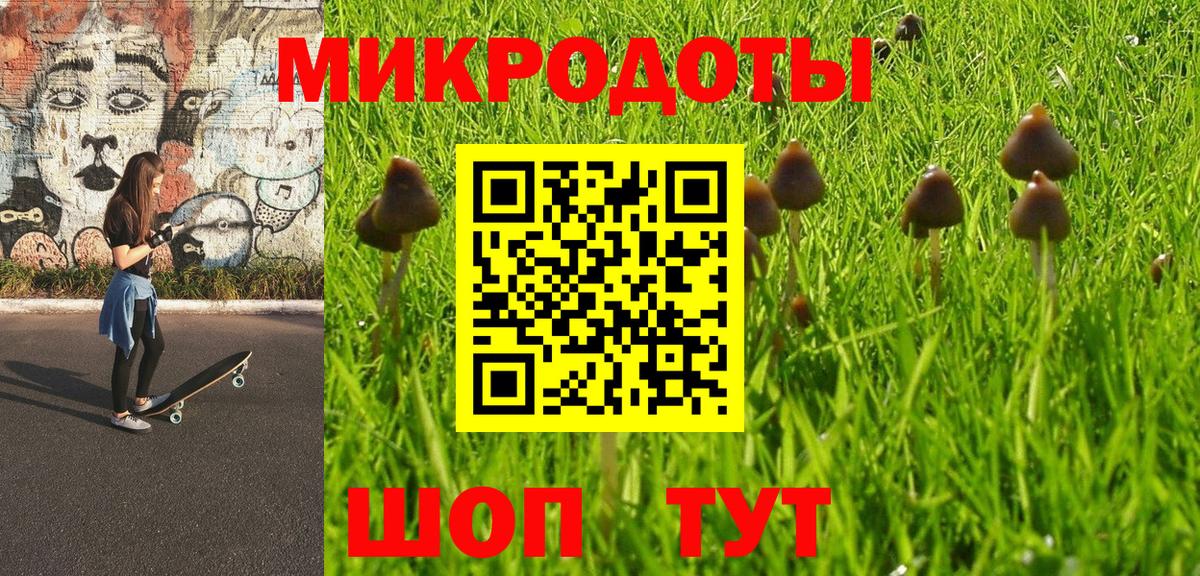 Борзя  Галлюциногенные грибы ЛСД  Вход с VPN 